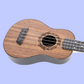 Flight TUS50 ABS Walnut Soprano Ukulele with Bag - 10 Ukuleles (Student Ukulele Pack )