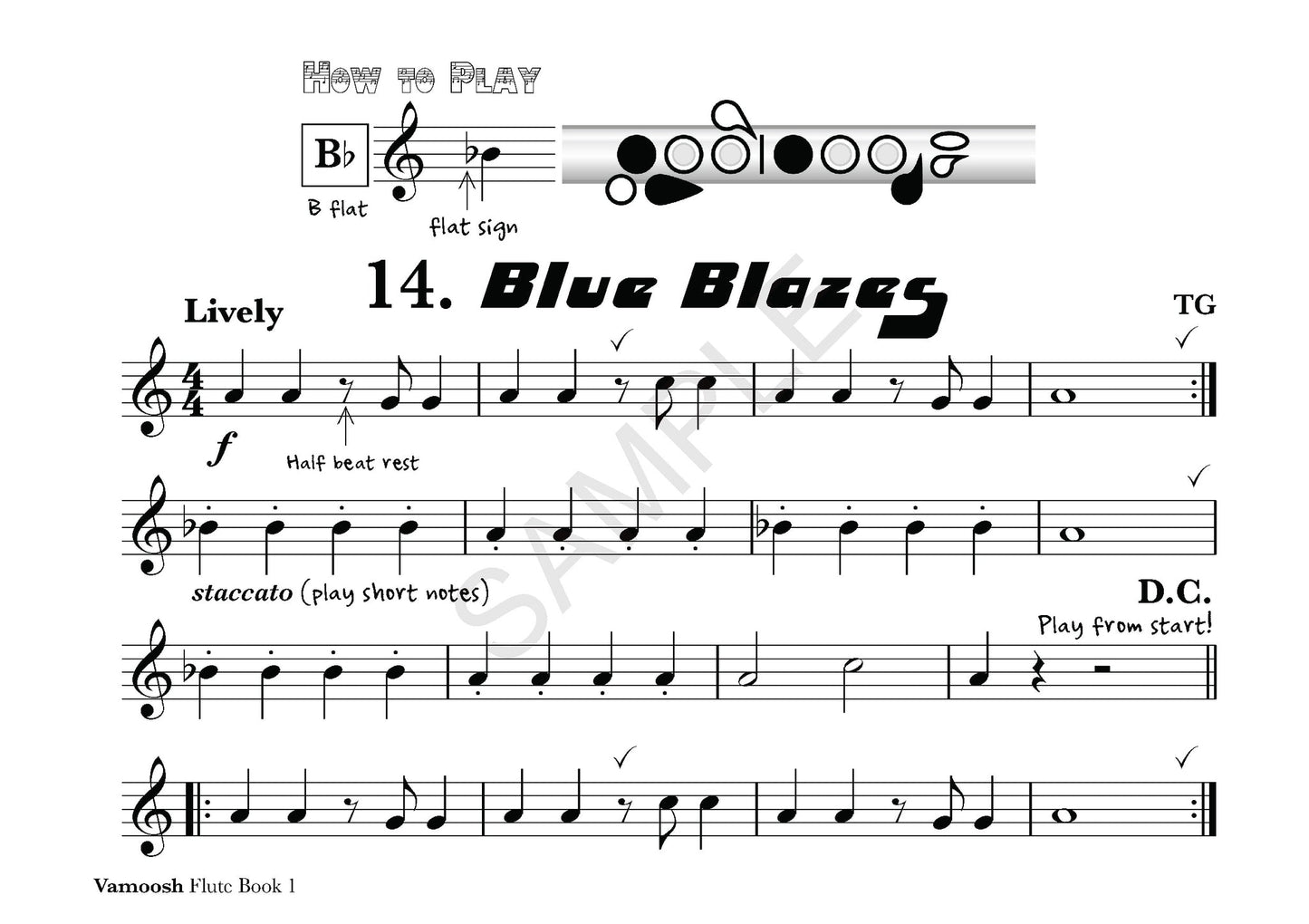 Thomas Gregory - Vamoosh Flute Book 1 (Book/Cd)