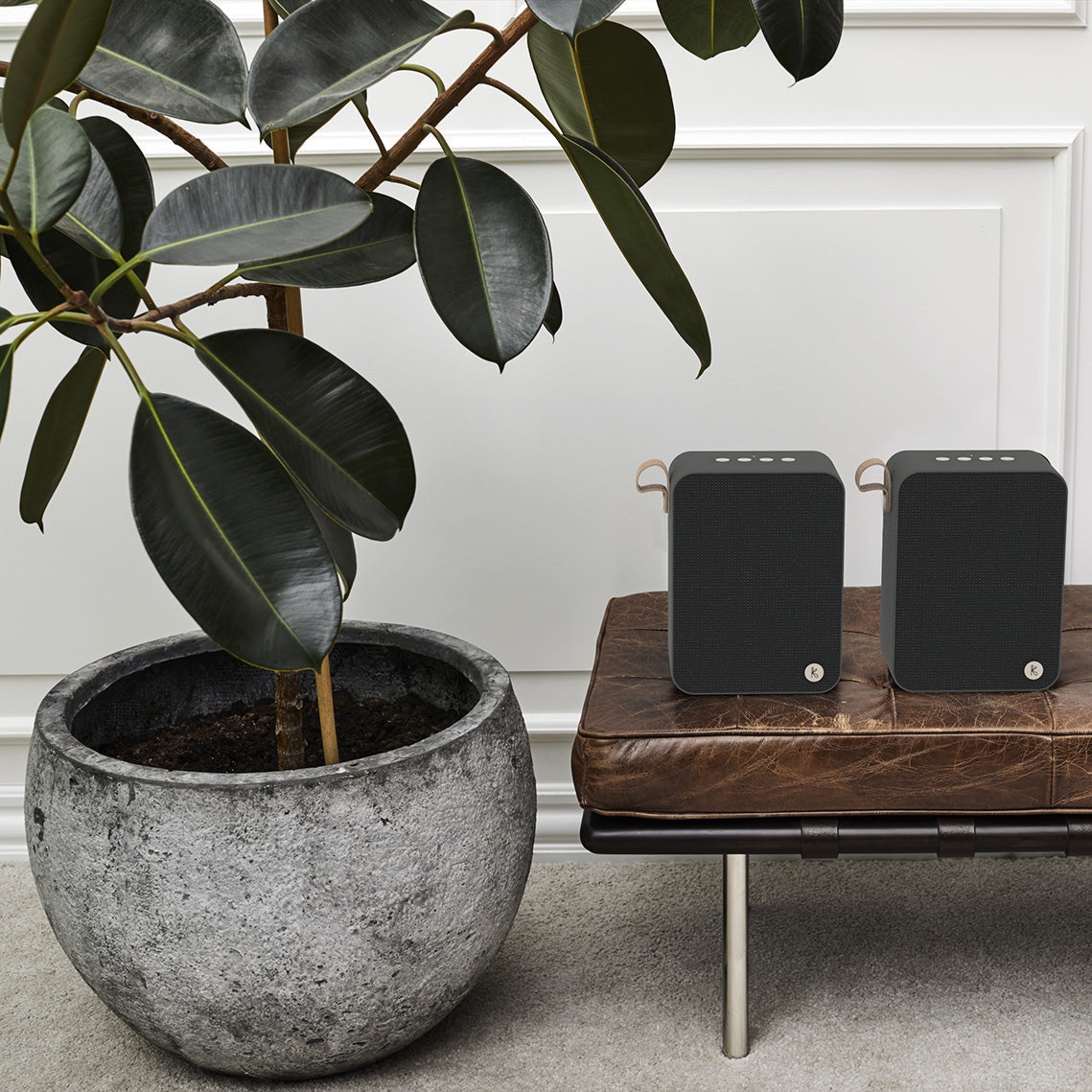 Kreafunk Aboom+ Bluetooth Speaker - Black