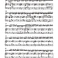 Vivaldi - 4 Seasons Summer Concerto G Min Op 8 No 2 Violin/P