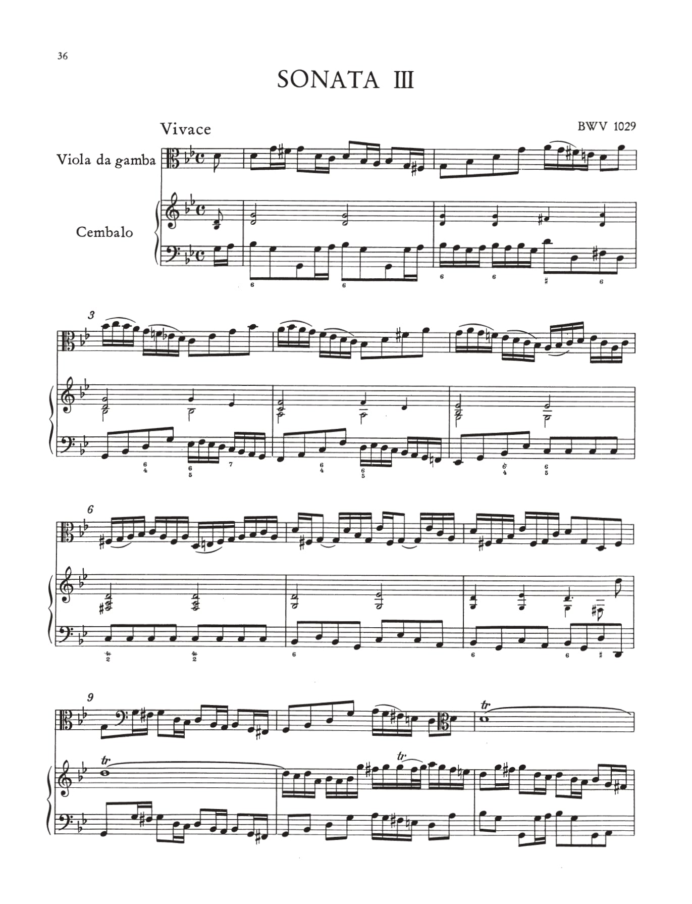J.S Bach - 3 Sonatas Originally For Viola Da Gamba for Cello with Piano Book