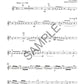 String Basics Solos - Violin Book 2 (19 Solos for Intermediate Players)