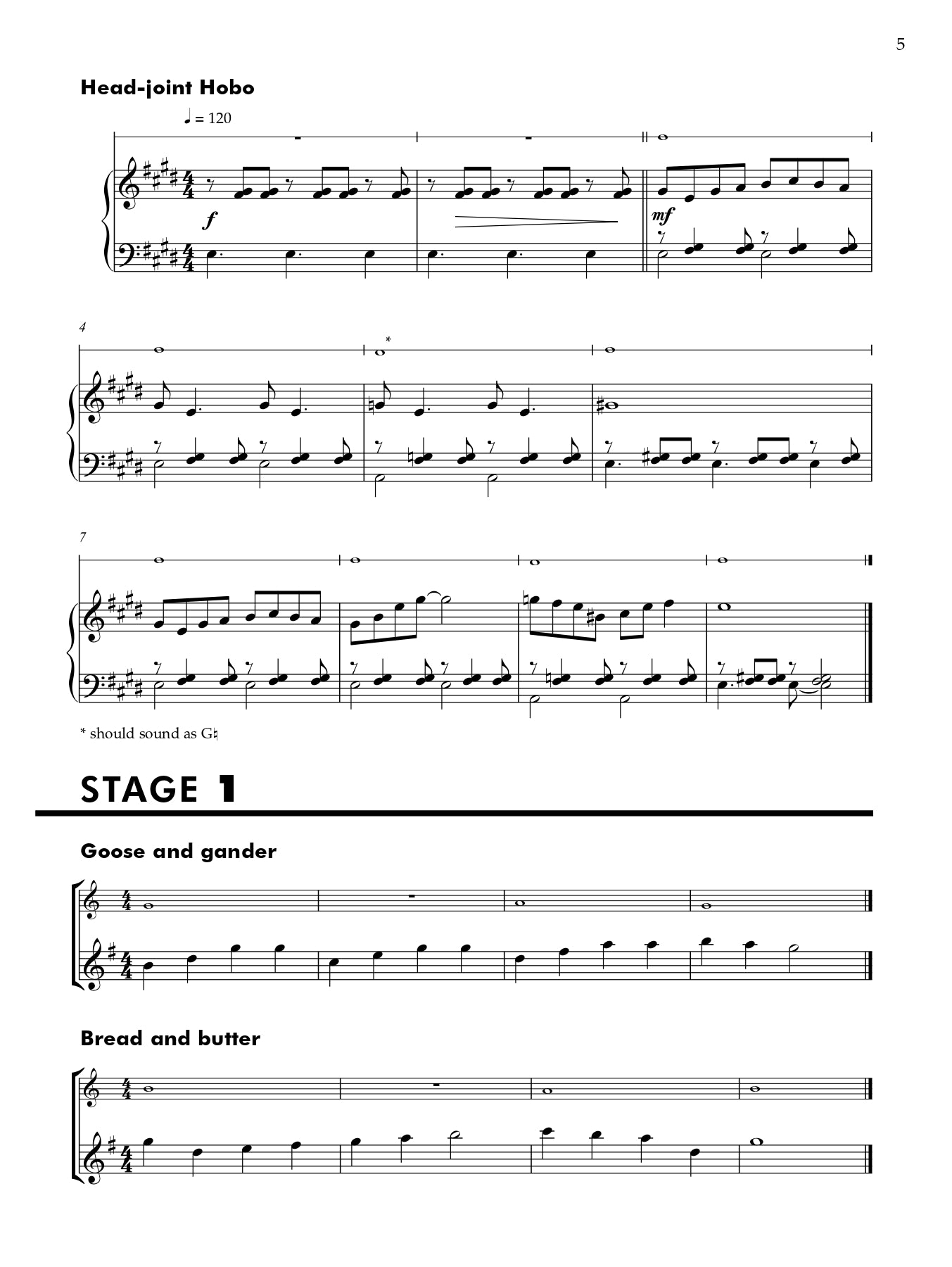 Flute Basics - Teachers Book