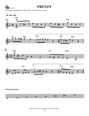 Gypsy Violin Basics A Beginners Guide Book/Ola