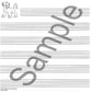 Lion King Manuscript Bk