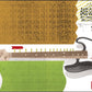 Electric Bass Guitar - Wall Chart with Fingerboard Note & Master Chord Reference