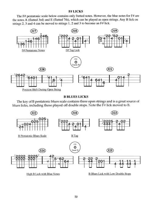 400 Smokin Bluegrass Mandolin Licks Book/Cd