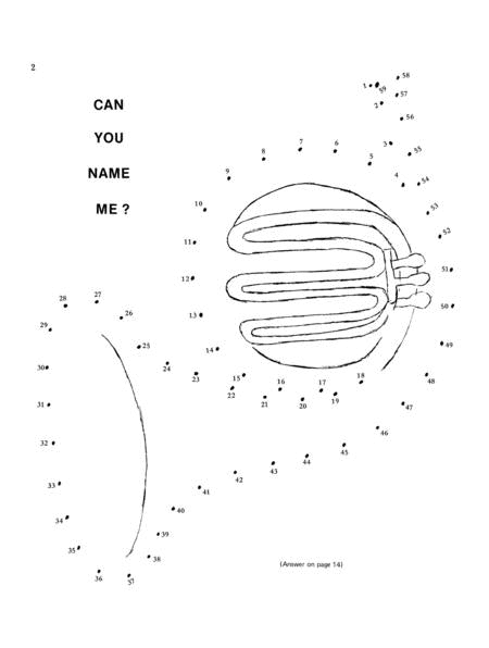 Music Mazes And Puzzles Bk 2