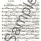 11 Studies From Wieniawsky Flute