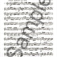 Vasily Berdiev - 17 Studies For Trumpet Solo Book