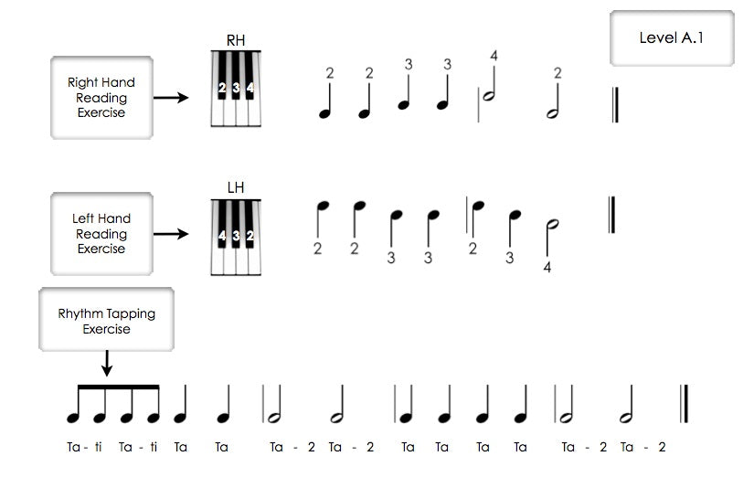 Piano Safari - Sight Reading and Rhythm Cards Level 1 Pack