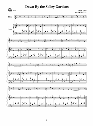 Celtic Flute Made Easy Book/Ola