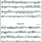 Flute Handbook Book/Ola