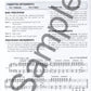 World Grooves Book/Cd - Classroom Activity with Reproducible Sheets