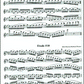 Flute Handbook Book/Ola