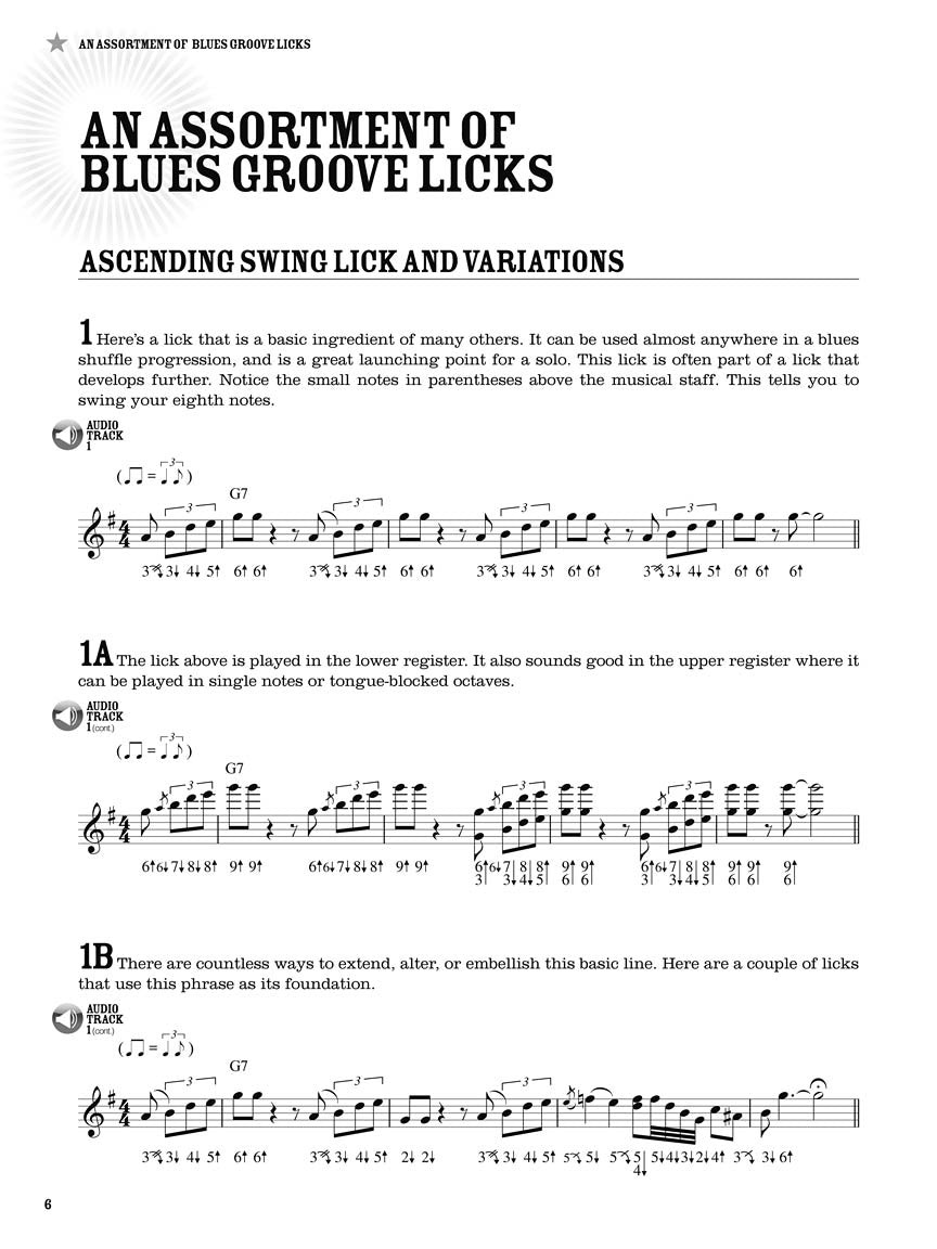 100 Authentic Blues Harmonica Licks Book/Ola