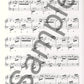 Great Piano Solos - The Black Book (45 Pieces)
