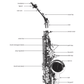 Step One - Play Tenor Saxophone Book/Ola