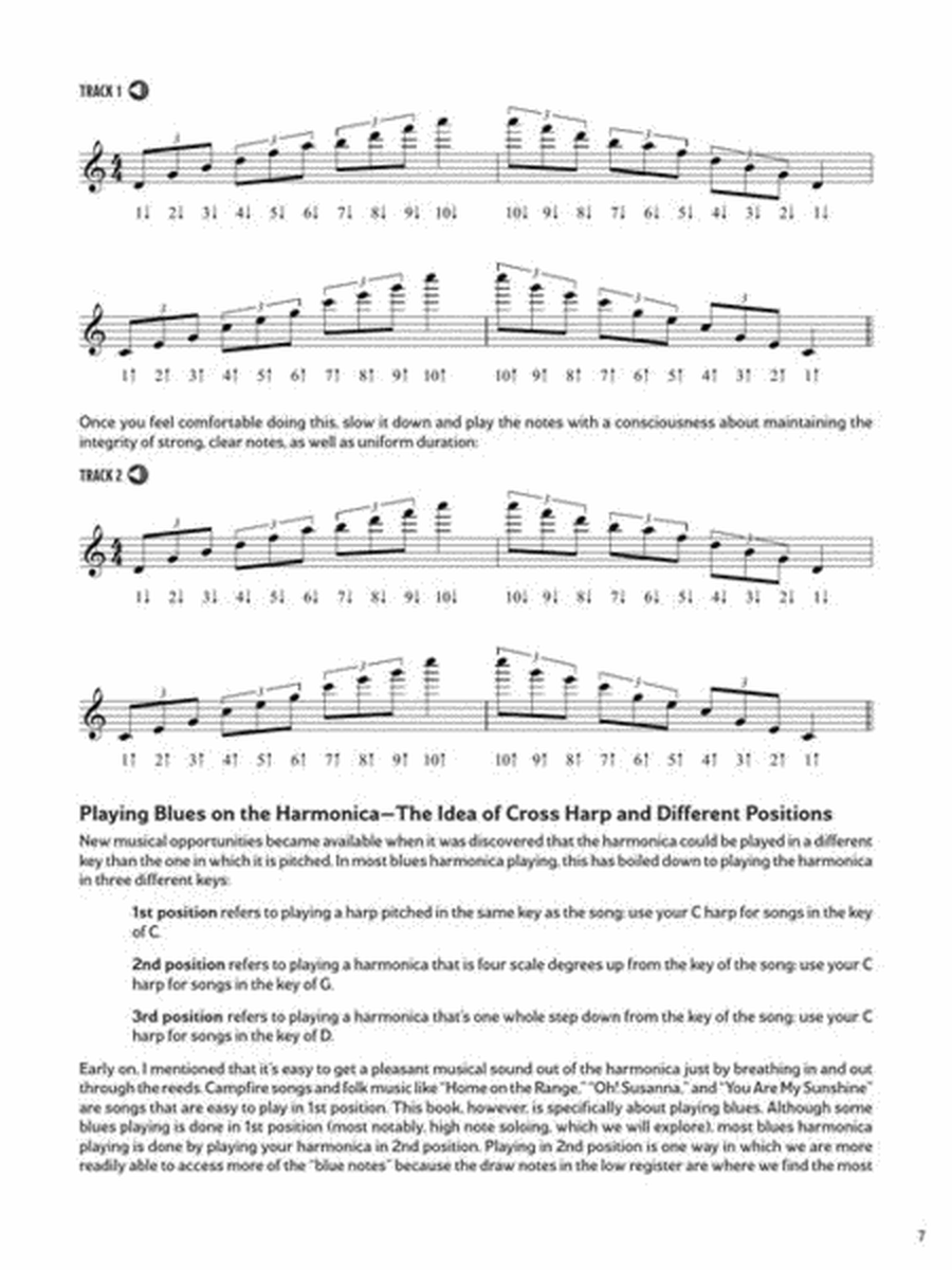 Blues Harmonica - Bending & Beyond Book/Ola