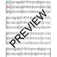 The Young Clarinet Player - Intermediate Duets & Trios Book
