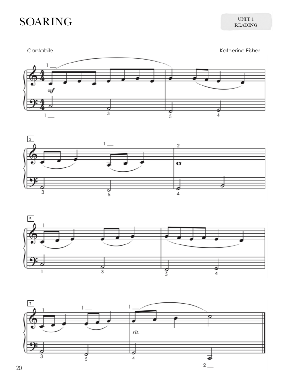 Piano Safari - Older Student Repertoire and Technique Level 2 Book/Audio