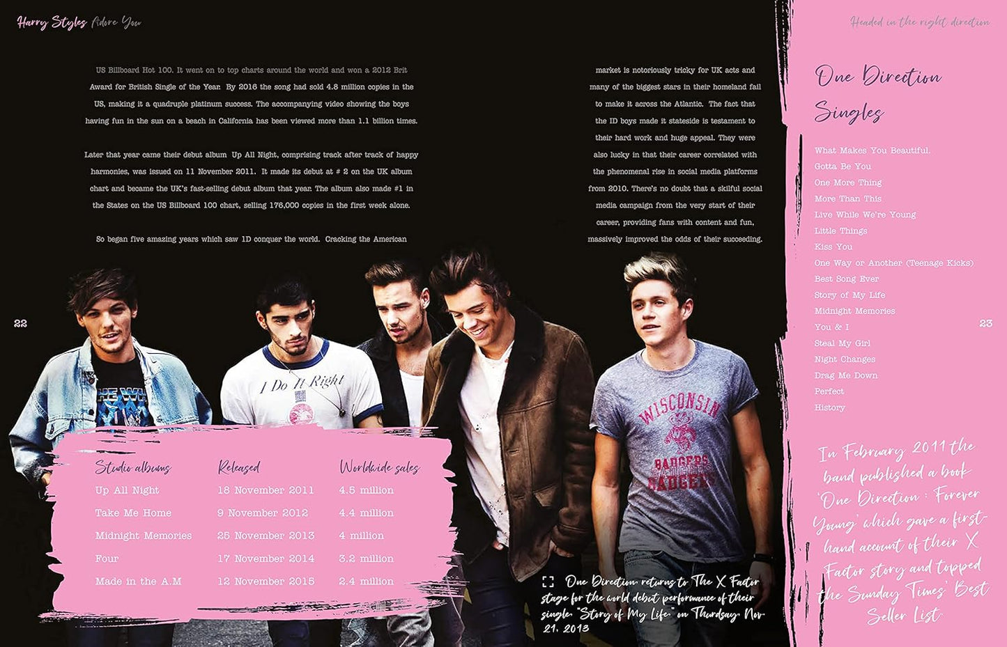 Harry Styles - The Illustrated Biography Hardcover Book - Carolyn Mchugh