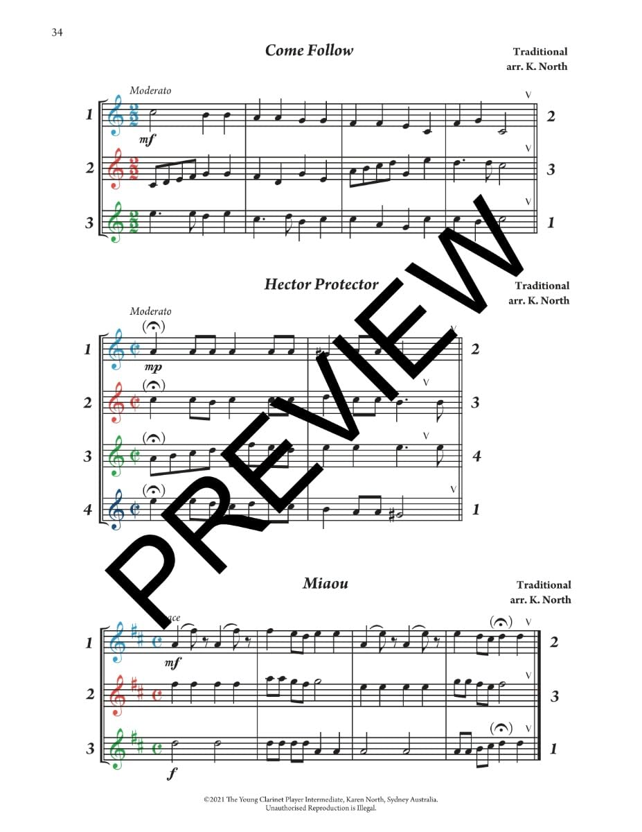 The Young Clarinet Player - Intermediate Duets & Trios Book