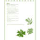 First Steps In Music For Preschool And Beyond Book (Revised Edition)