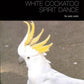 Ross Edwards - White Cockatoo Spirit Dance Violin Solo Book