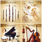 Orchestra Wall Chart (56cm x 86cm)