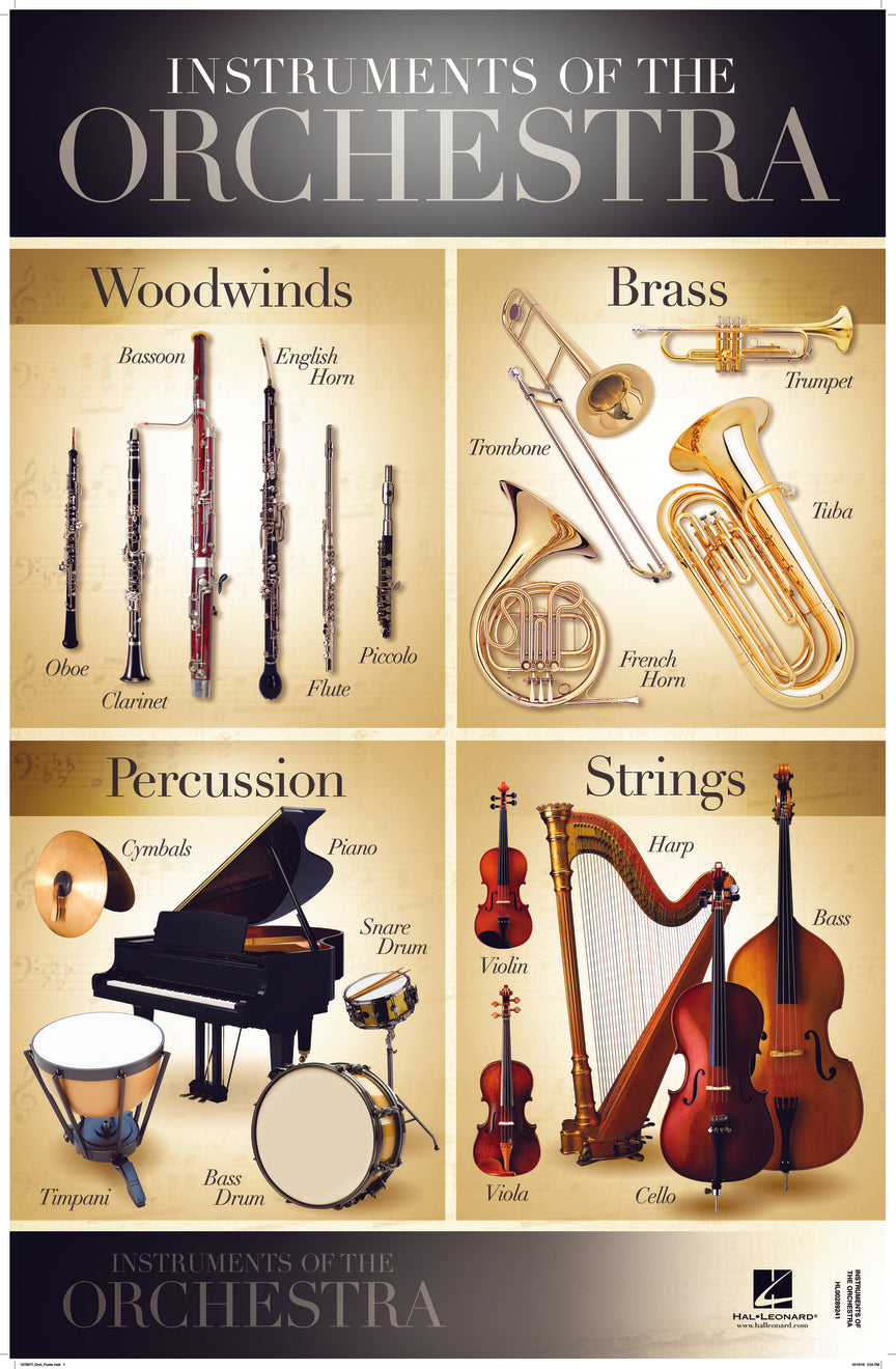 Orchestra Wall Chart (56cm x 86cm)
