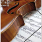 A4 Music File with Elastic Band -  Violin on Manuscript Design