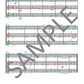The Young Flute Player Book 4 - Beginner Duets & Trios