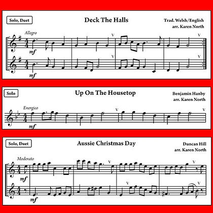 The Young Flute Player - Festive Flute Fun Book