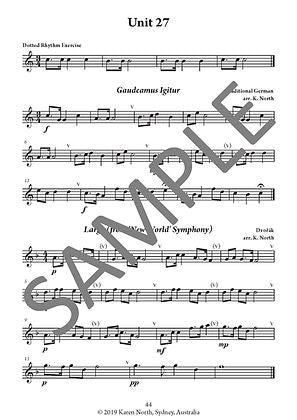 The Young Flute Player Book 6 - Adult Learners