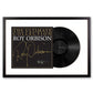 Framed Roy Orbison the Ultimate Collection Vinyl Album Art