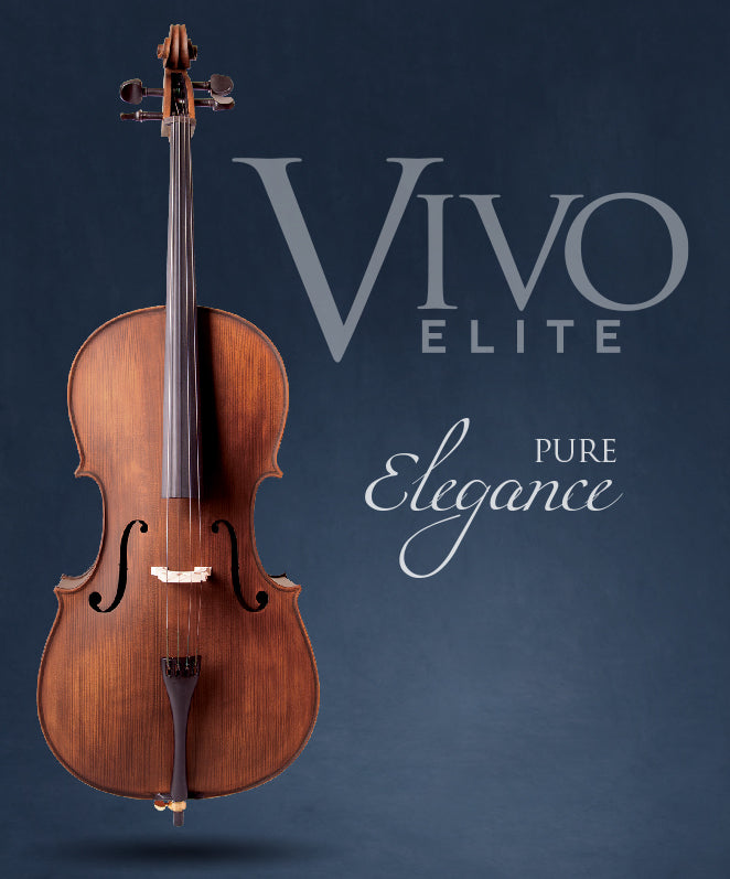 Vivo Elite Cello 4/4 Outfit with Case & Bow