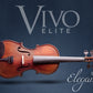 Vivo Elite 3/4 Violin Outfit with Case & Bow