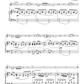 Suzuki Violin School - Violin Part Volume 4 Piano Accompaniment Book