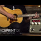 LR Baggs VOICEPRINTDI Guitar Pedal for Acoustic Guitar