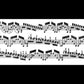 Paganini 24 Caprices Op. 1 Violin Solo Book