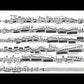Campagnoli - 41 Caprices Op 22 Viola Solo Book