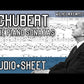 Franz Schubert - Sonatas Volume 2 For Piano Book (Urtext Edition)