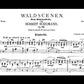 Schumann - Forest Scenes Op 82 Waldszenen Piano Book