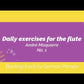 Daily Exercises For The Flute Book