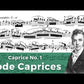 Pierre Rode: 24 Caprices for Violin Book