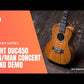 Flight DUC450 Concert Ukulele Mangowood with PaddedGig Bag