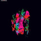 Foo Fighters: Wasting Light - Music2u