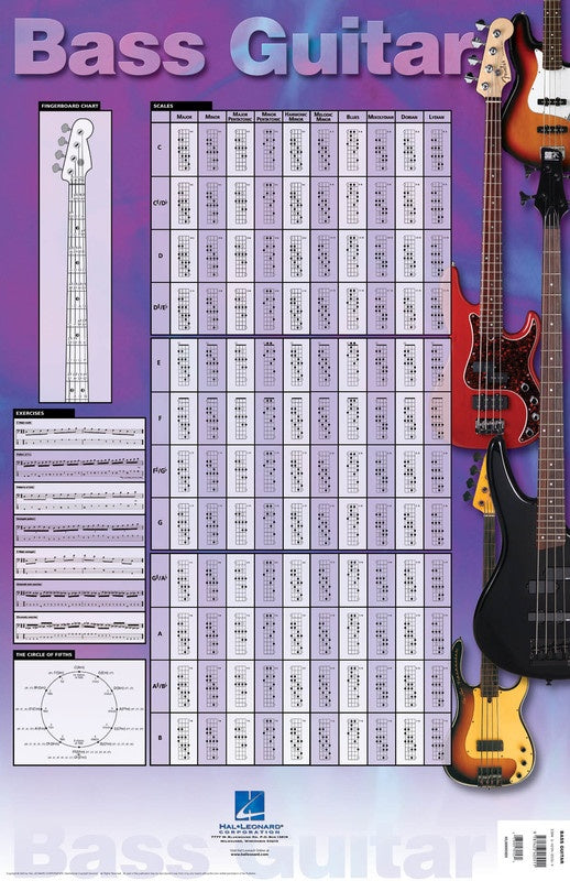 Bass Guitar Poster - Music2u