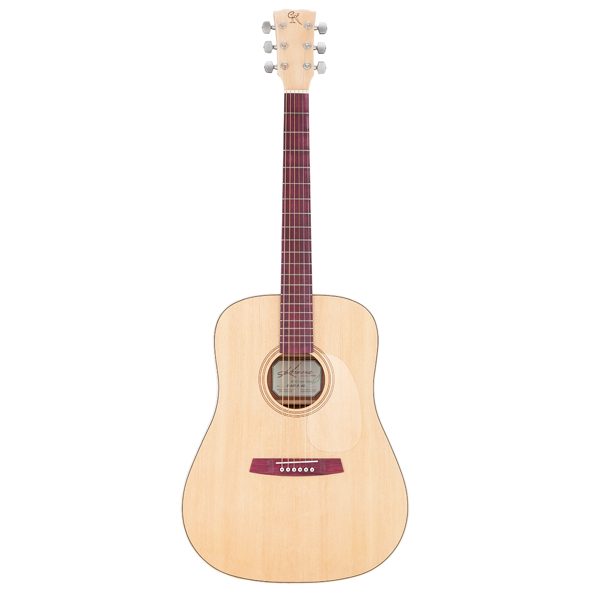 Kremona M10GGE Steel String Green Globe Acoustic Solid Spruce Top w/Case & LR Baggs pickup